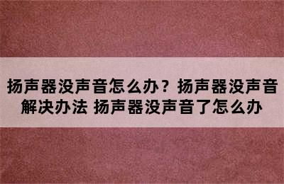 扬声器没声音怎么办？扬声器没声音解决办法 扬声器没声音了怎么办